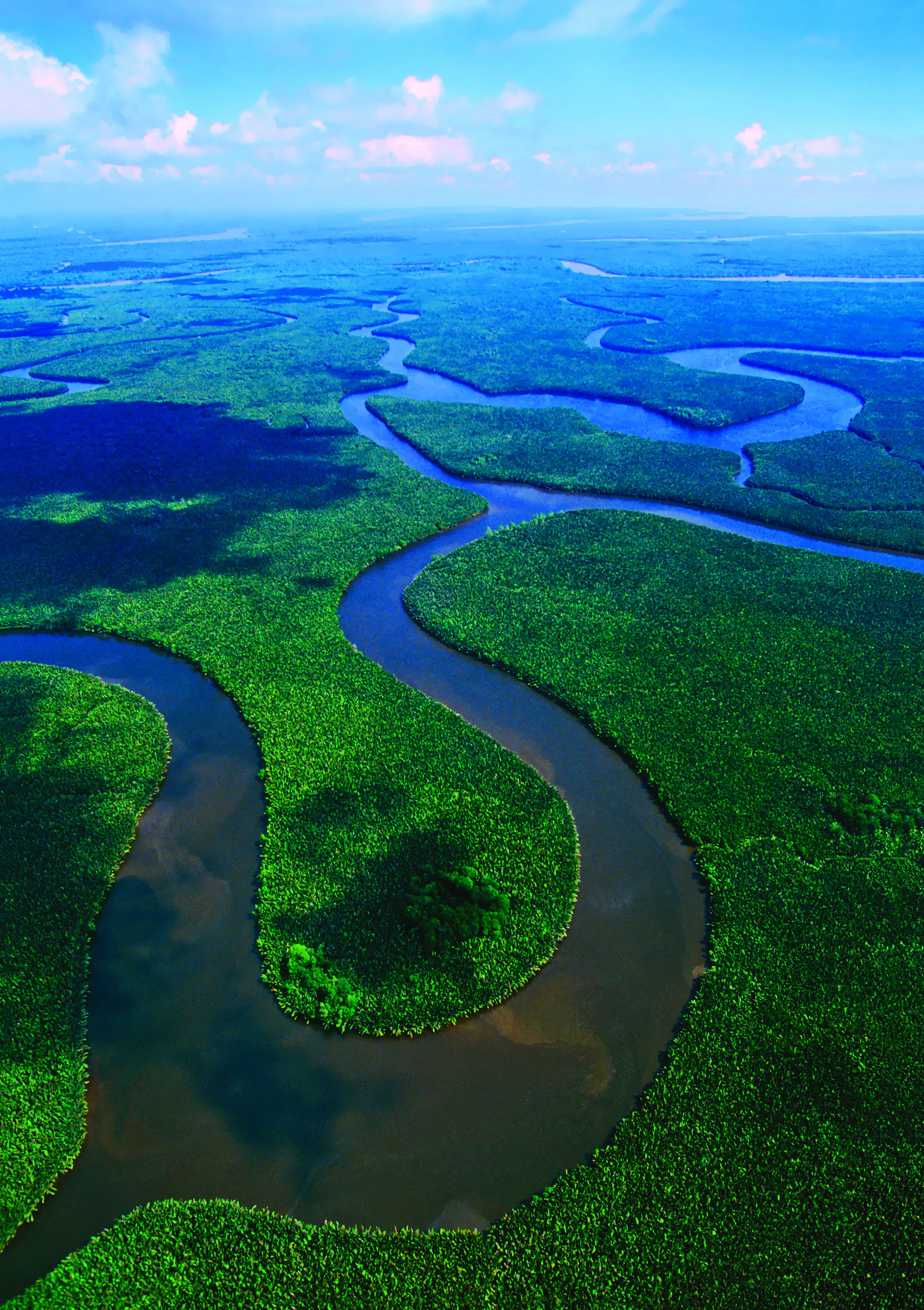 River ecosystem